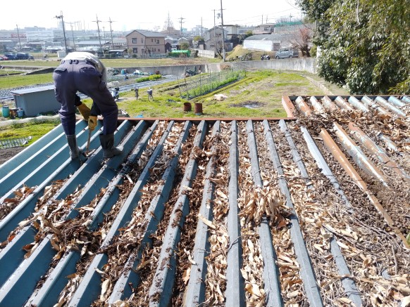 物置小屋屋根掃除